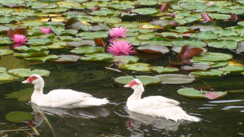 Nirvana Spiritual Retreat Gloucester Zewnętrze zdjęcie